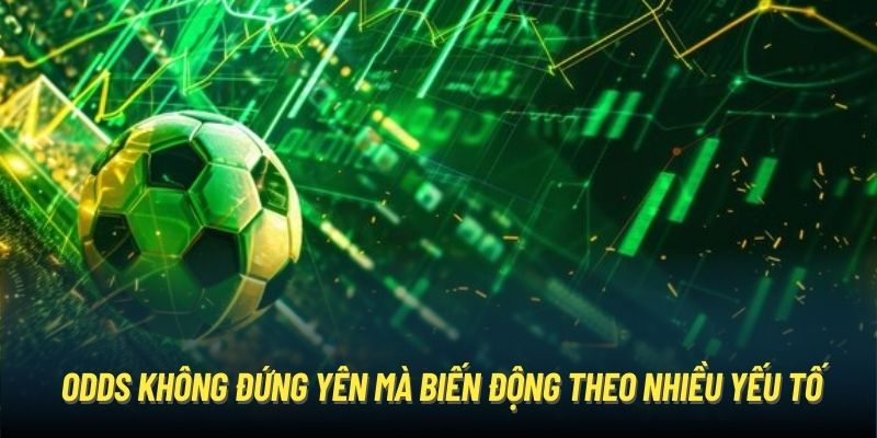 Odds không đứng yên mà biến động theo nhiều yếu tố