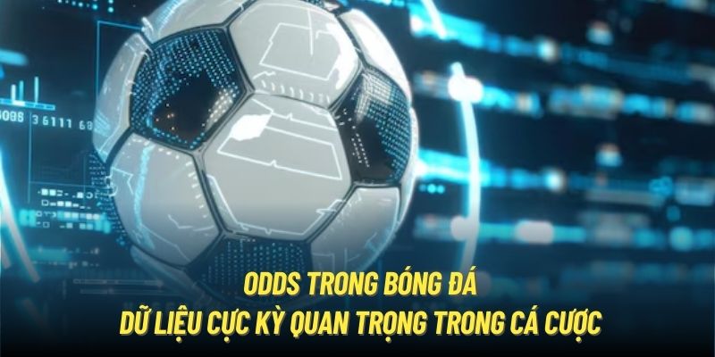 Odds Trong Bóng Đá | Dữ Liệu Cực Kỳ Quan Trọng Khi Cá Cược